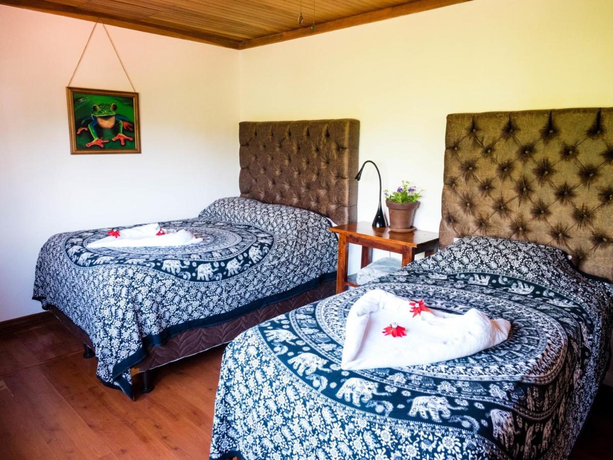 Luna Inn B&B Ciudad Cariari Buitenkant foto