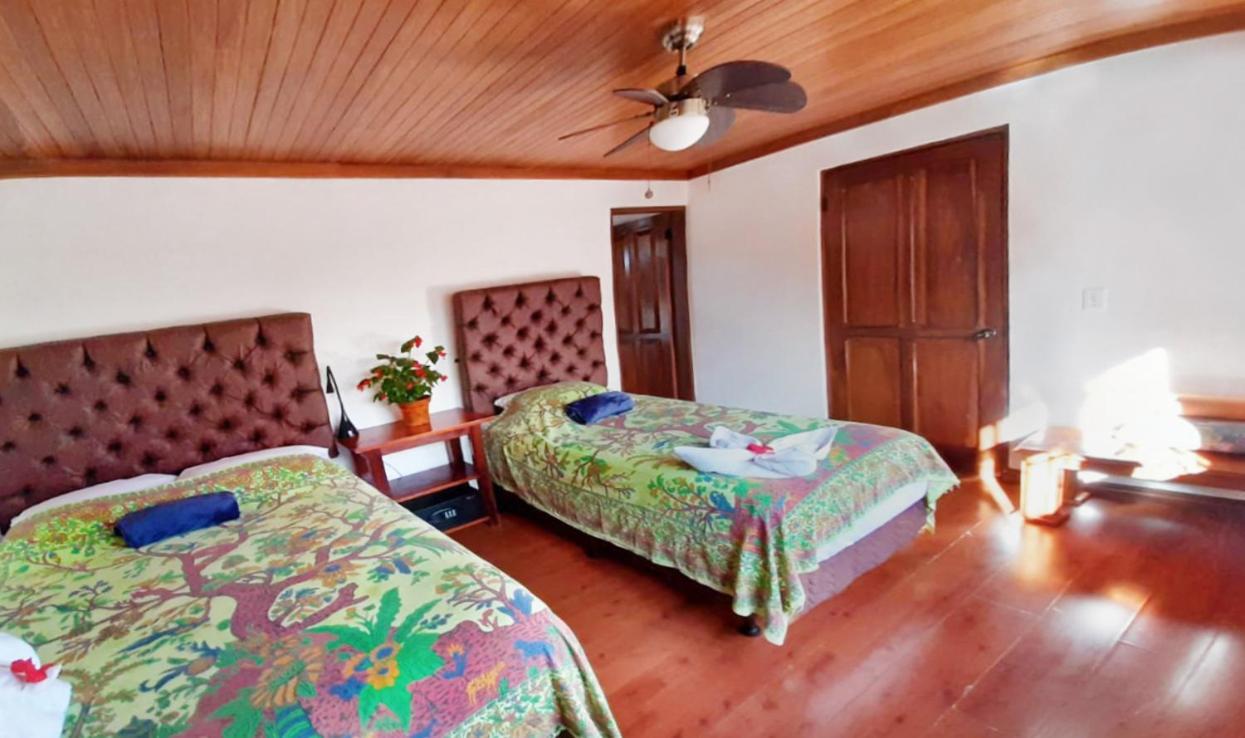 Luna Inn B&B Ciudad Cariari Buitenkant foto